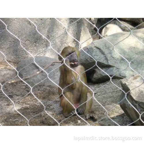 Wire Rope Zoo Mesh, Steel Wire Rope Woven Mesh,Aviary Mesh,